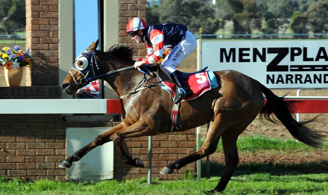 FINAL FAREWELL: Mrs Menzies winning the feature race at Narrandera back in 2011. She will head to the breeding barn after her final race at Wagga on Friday.