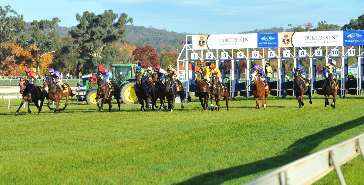 EXCITING NEWS: The best horses from the Southern District will come together for a $100,000 race at Wagga in March. Picture: Kieren L Tilly