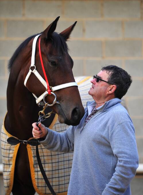 TIME TO SHINE: Wagga trainer Dave Heywood with stable star Living On A Prayer. 