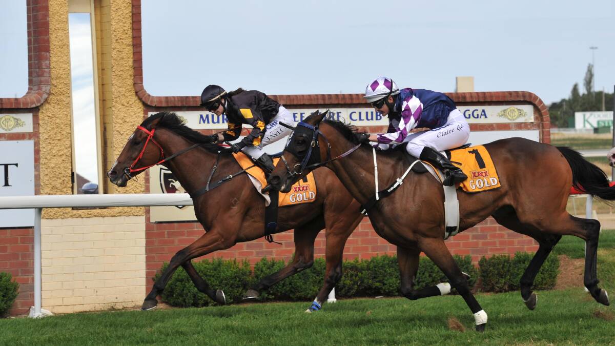 DECEPTIVE ANGLE: Roman Cross (left) and Gunner could not be split in the Wagga Scrap Metals Benchmark 65 Handicap (1400m) at Murrumbidgee Turf Club on Thursday.