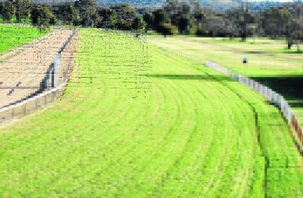 LOOKING GOOD: Cootamundra Turf Club has its track in good condition ahead of its Cup meeting on Sunday week.