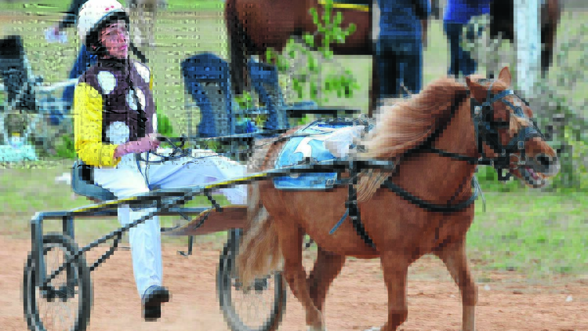 SHOWTIME: Cameron Hart drives Chester Lad the at Illabo Show. The two will pair up at Menangle on Saturday night for the mini trotters Miracle Mile. Picture: Les Smith