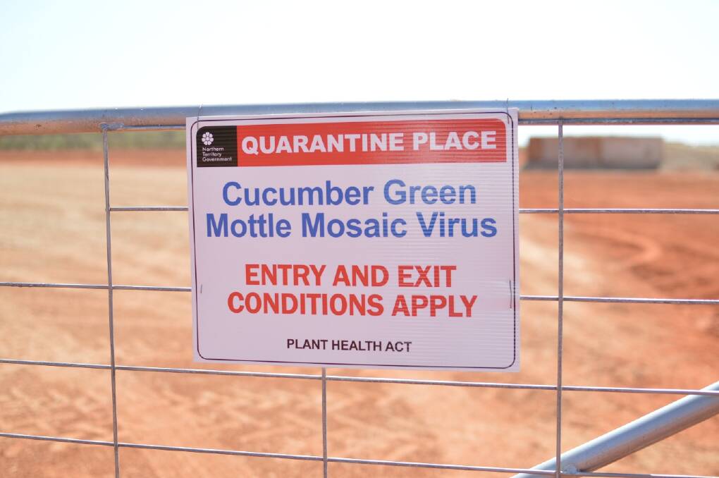 GATE SHUT ON ERADICATION: Primary Industry and Fisheries Minister Willem Westra van Holthe says eradicating cucumber green mottle mosaic virus in the Northern Territory is "no longer technically feasible".