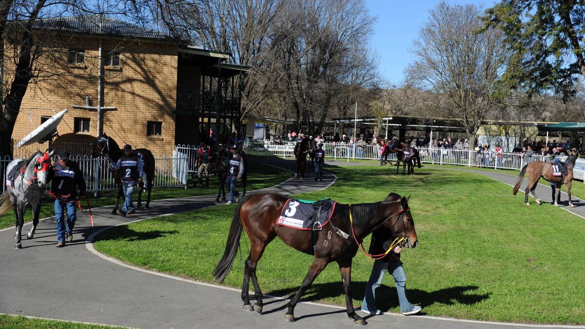 IDEAL CONDITIONS: Gundagai-Adelong Racing Club will be banking on clear weather between now and Sunday's planned race meeting