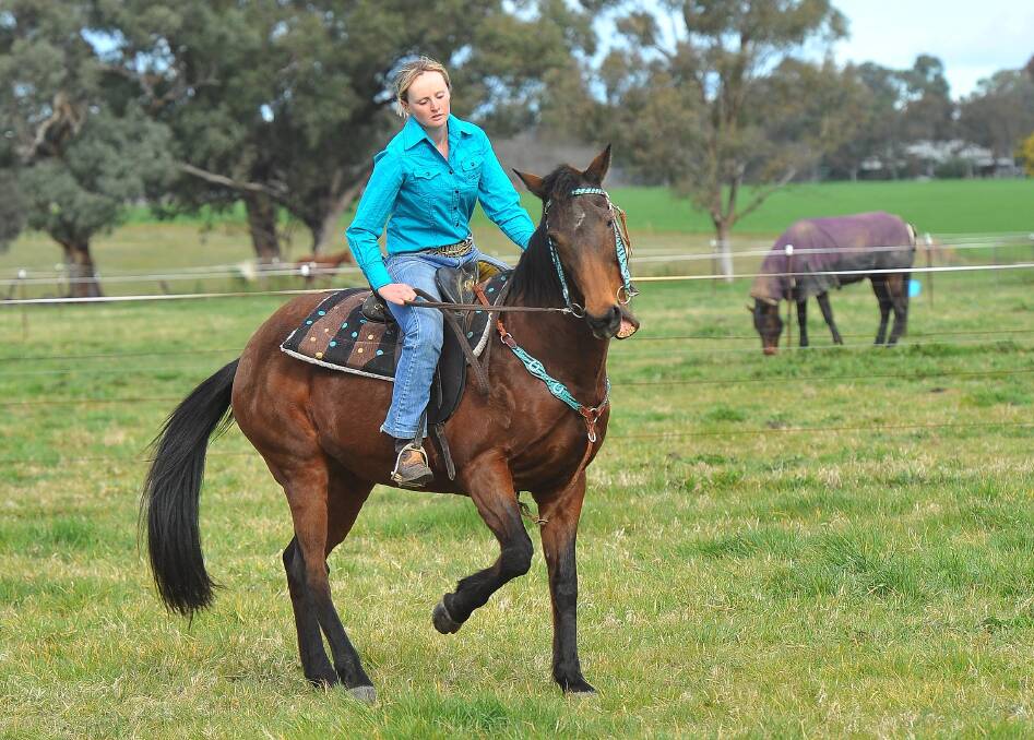 SKILLFUL: English equestrienne Vicky Colley puts Candy through a workout at her Wagga property yesterday