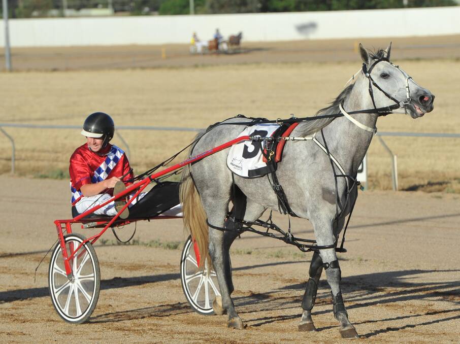 PACE SETTER: Victorian reinsman Corey Bell with Coonah Parade after their victory at Temora on Saturday. Picture: Laura Hardwick