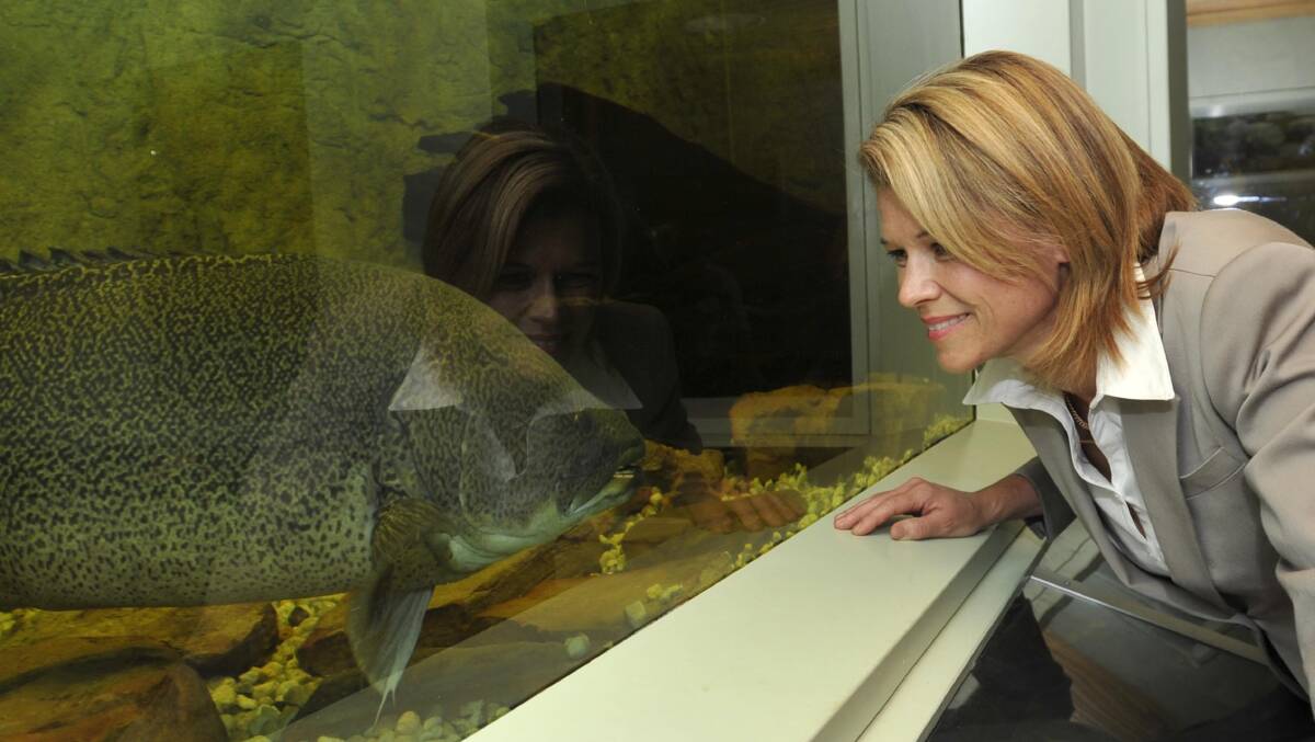 FISH OUT OF WATER: NSW primary industries minister Katrina Hodgkinson visits the Inland Fisheries Centre at Narrandera. Picture: Les Smith