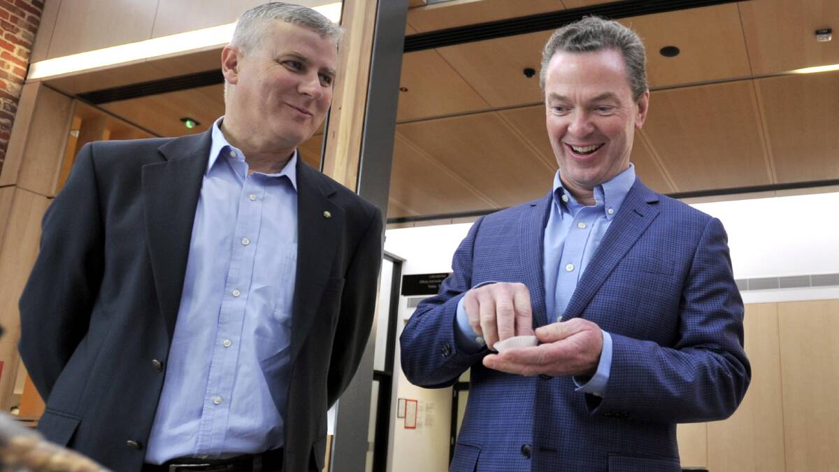 Michael McCormack with education minister Christopher Pyne last month. 