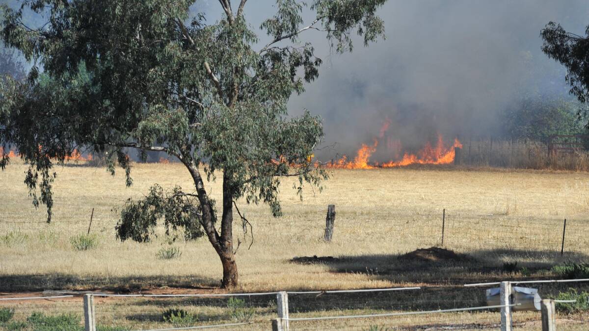 NSW Fire and Rescue and Rural Fire Service crews attend to a Kooringal Road property fire. Picture: Michael Frogley