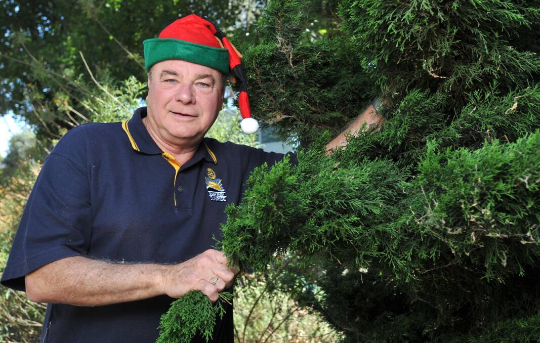 FESTIVE SPIRIT: Sunrise Rotary public relations officer Dennis Blackett is merry and bright as he checks out a Christmas tree, for sale just in time for the festive season. Picture: Michael Frogley