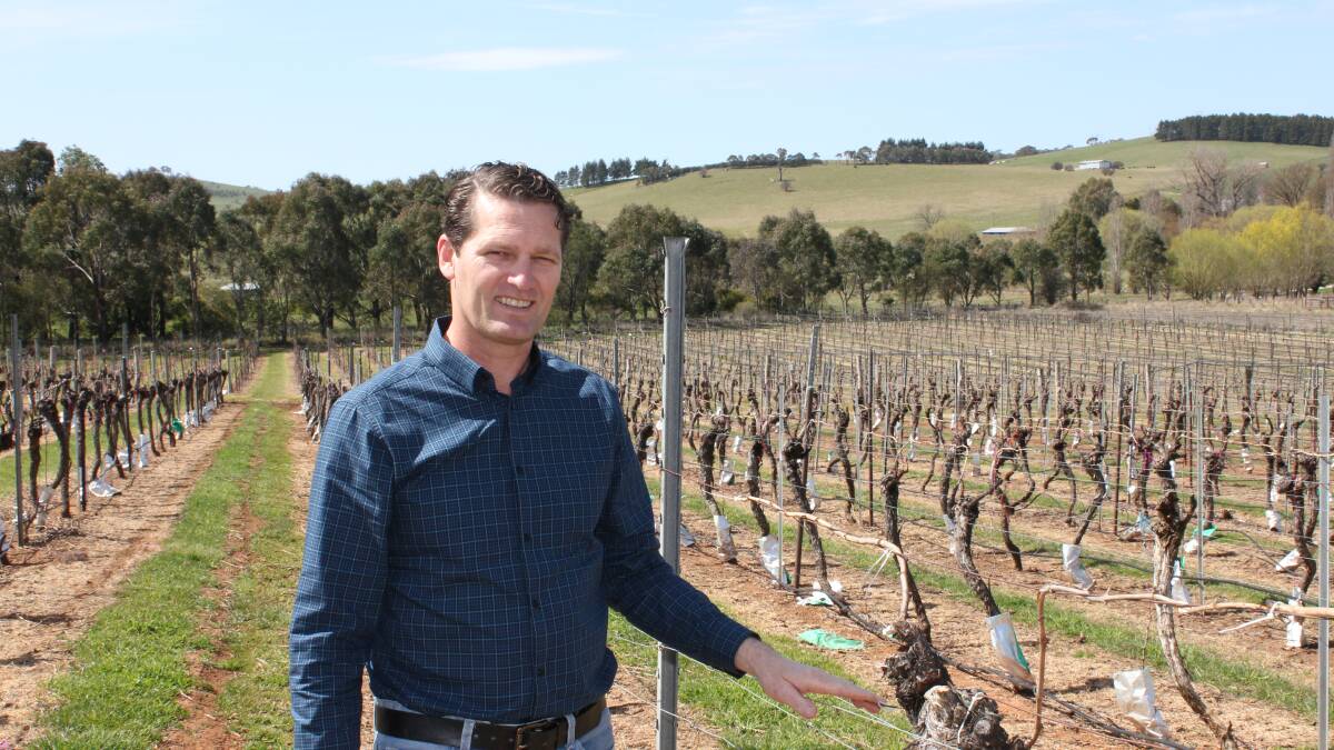 SPECIALIST: Viticulturist Darren Fahey has stepped into a new role at the Department of Primary Industries. Picture: Contributed