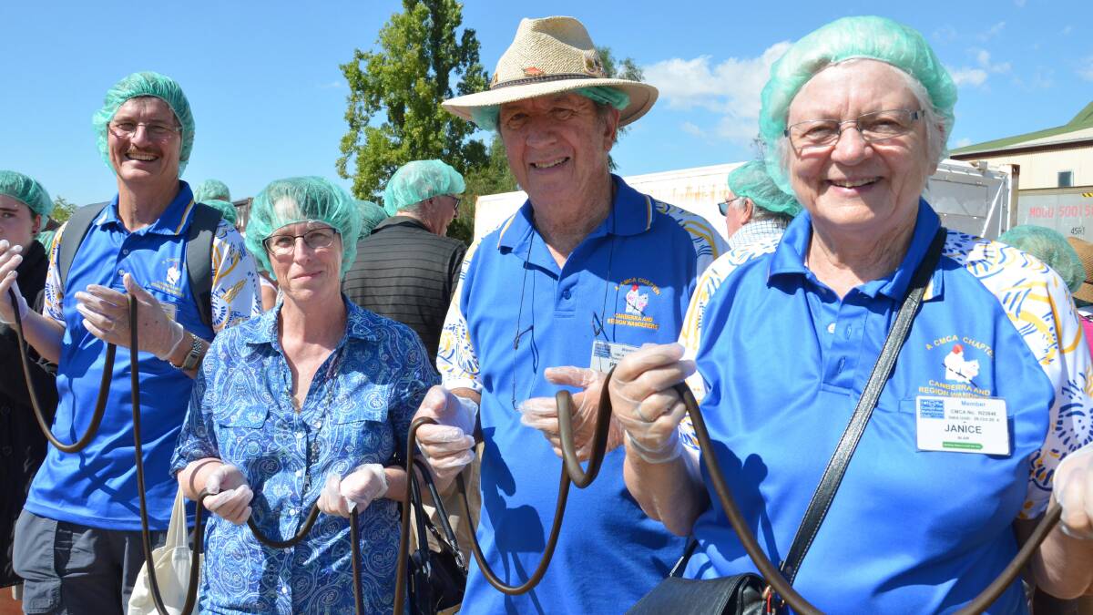 Brian and Lynda Johns with Peter and Janice Blair from the Canberra chapter of the Campervan and Motorhome Club take part in the world's longest licorice strap attempt. Picture: Declan Rurenga