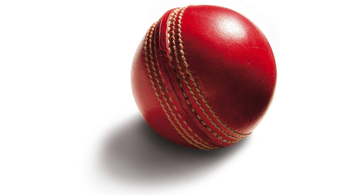 Wagga cricketers invited to bowl to international stars during World Cup