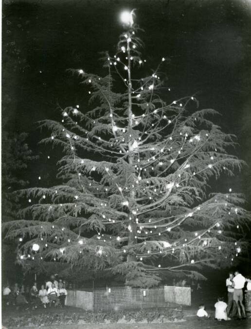 Giant Christmas Tree – Victory Memorial Gardens 1960’s