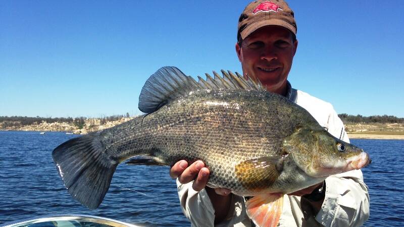 Jamin Forbes reels in a yellowbelly at Copeton.