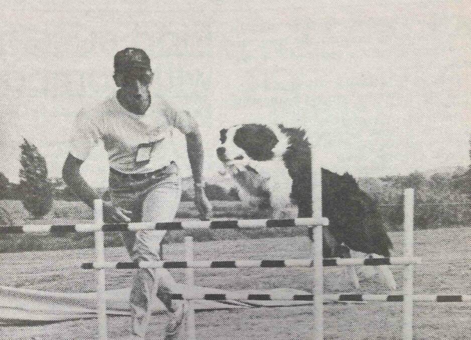 Stephen Bowden encourages Brebony Straight Arrow over the triple jump section of the agility trial course at San Isidore.