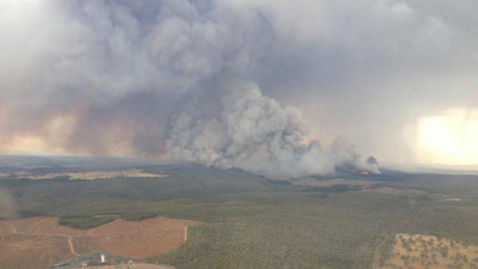 This RFS picture shows the fire burning in the Murraguldrie State Forest south-east of Kyeamba. The fire will be visible from the Hume Highway. Picture: RFS