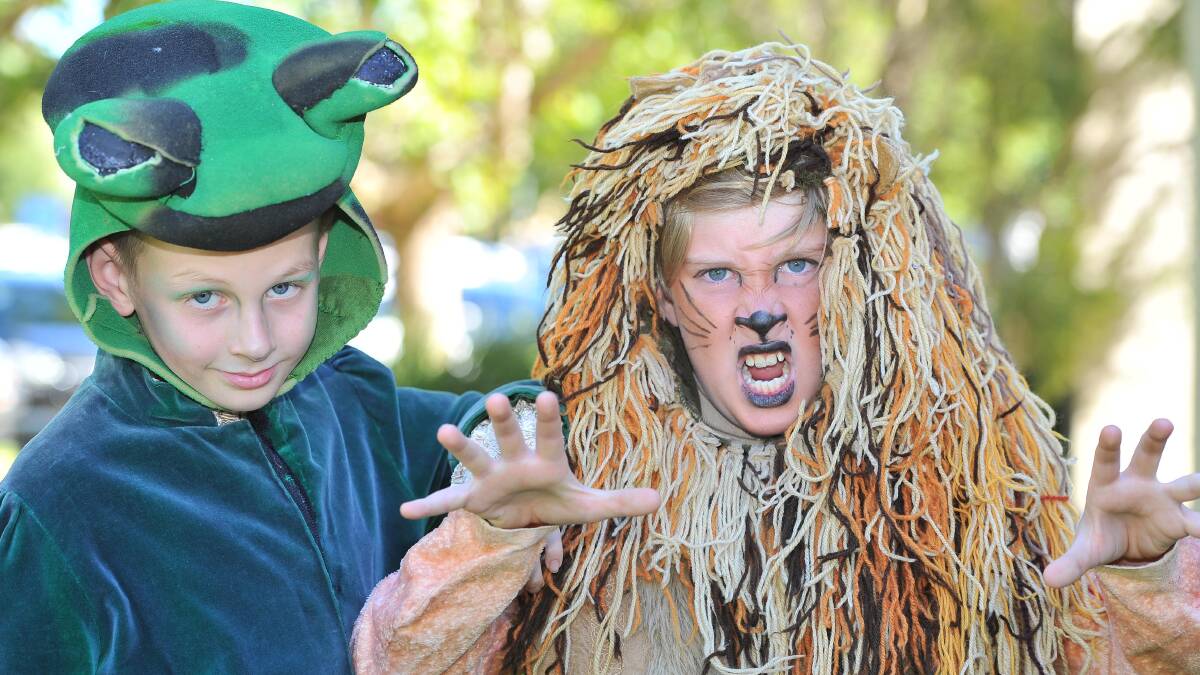 The Frog, Lachlan Stephens (10) and the lion, Connor Irlam (10) - both from Wagga. They were part of The Frog Prince play which was shownin the basement of the Civic Theatre this week. Picture: Kieren L Tilly