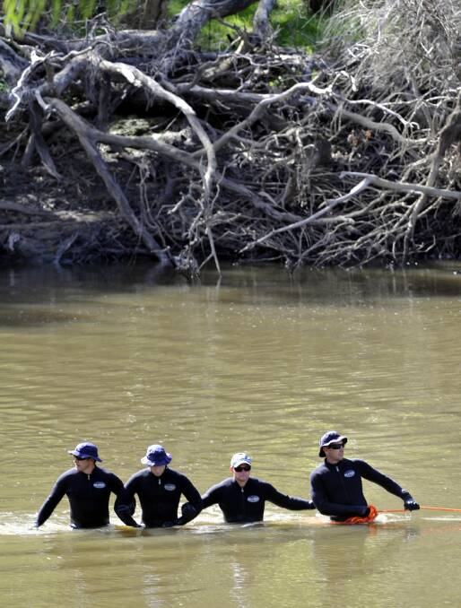 Sydney-based police divers link arms to conduct a sweep of the Murrumbidgee River downstream of Wagga's Wiradjuri Reserve boat ramp. They were called to assist in the search for missing Wagga man Brent Little. Picture: Les Smith