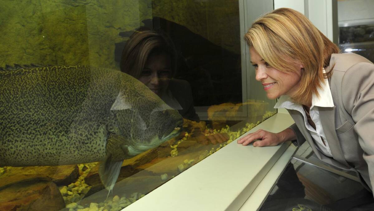 NSW primary industries minister Katrina Hodgkinson visits the Inland Fisheries Centre at Narrandera on Wednesday. Picture: Les Smith