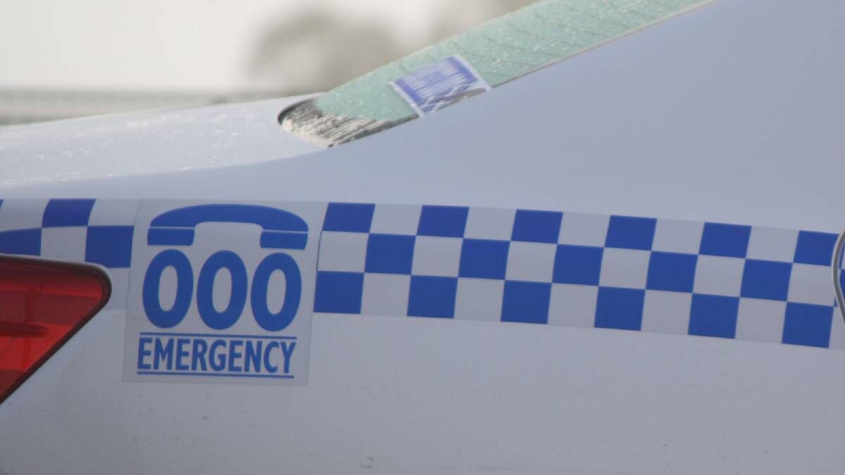 Police say neighbours stepped in to prevent a daylight robbery of a Glenfield Park home last week.