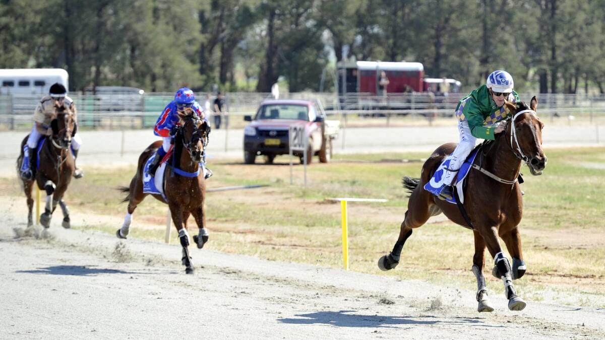 STREETS AHEAD: Sonofanearl with Daryl Douglas aboard puts a big gap on his rivals to win the mote at Coolamon's all trotters meeting. Picture: Les Smith