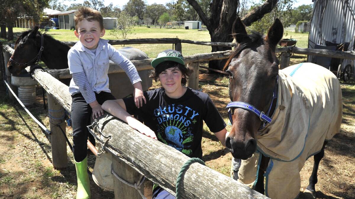 SPECIAL VICTORY: Myrniong Vancealot scored his first win in more than four years at Wagga on Friday night for Old Junee trainer-driver Justin Field. Celebrating their father's success yesterday are sons Benjamin, 4, Tristan, 13. 	Picture: Les Smith