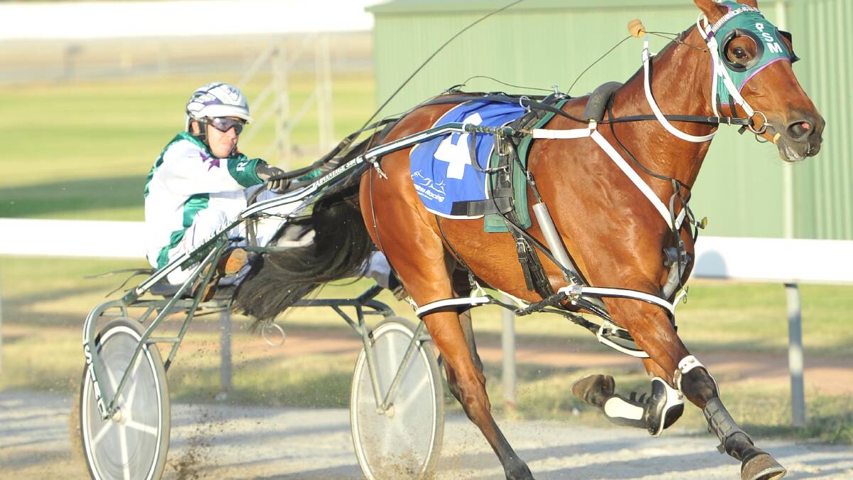 STORMING TO VICTORY: Horse Hereux Homme cruises tothe line for owner-driver Reece Maguire at Leeton on Saturday night. Picture: Laura Hardwick