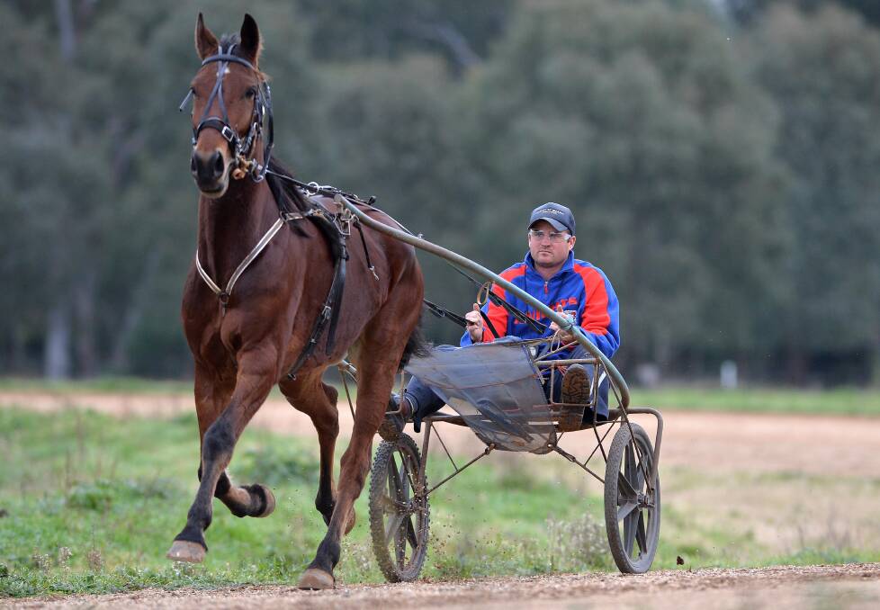 SOLID WORK: Jake Stockton takes Colin John for some work on his Alfredtown property yesterday and the gelding was an impressive win of a Menangle Country Series heat at Wagga last Friday. Picture: Michael Frogley
