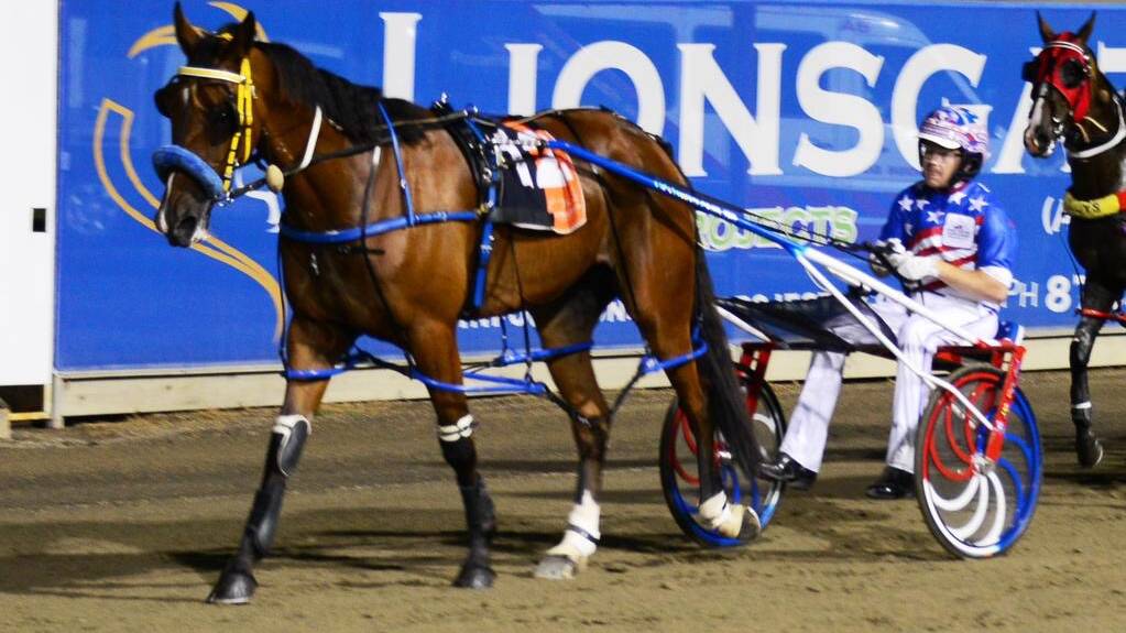 Tim Tetrick comes back a winner with Shannonsablast at Menangle on Saturday night. The World Drving Championships continues at Wagga on Tuesday night.