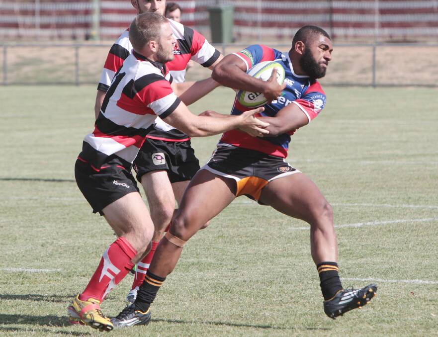 BRUTE STRENGTH: City's Mitch Fealy attempts to bring down Redback Semisi Rogoyawa.