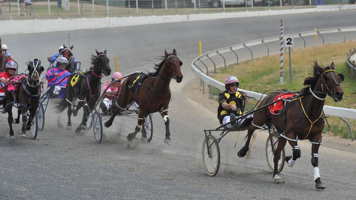 GOING FOR HOME: David Moran urges Purple Devil away from his rivals to win the Sportswriter @ Peppertree Farm Pace at Wagga yesterday. Pictures: Laura Hardwick.