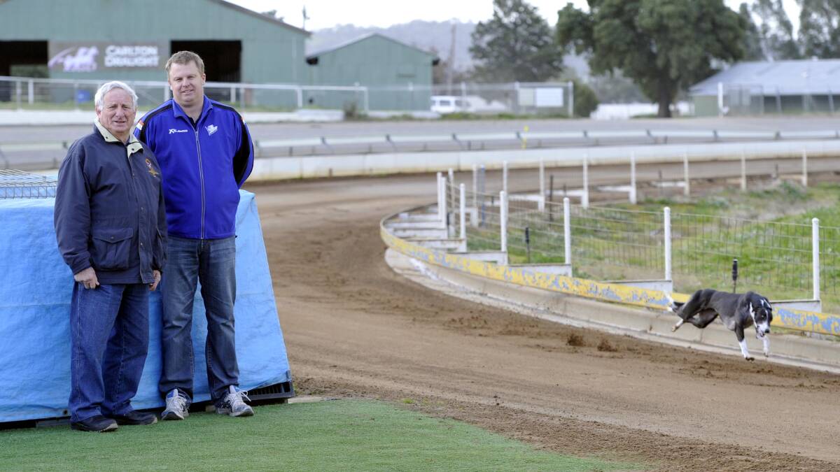 BACK ON TRACK: Greyhound Racing NSW chief steward Clint Bentley (right) and Riverina steward Bill Levy watch on as a greyhound trials around the re-surfaced track yesterday, deeming it fit for a return to racing. Picture: Les Smith