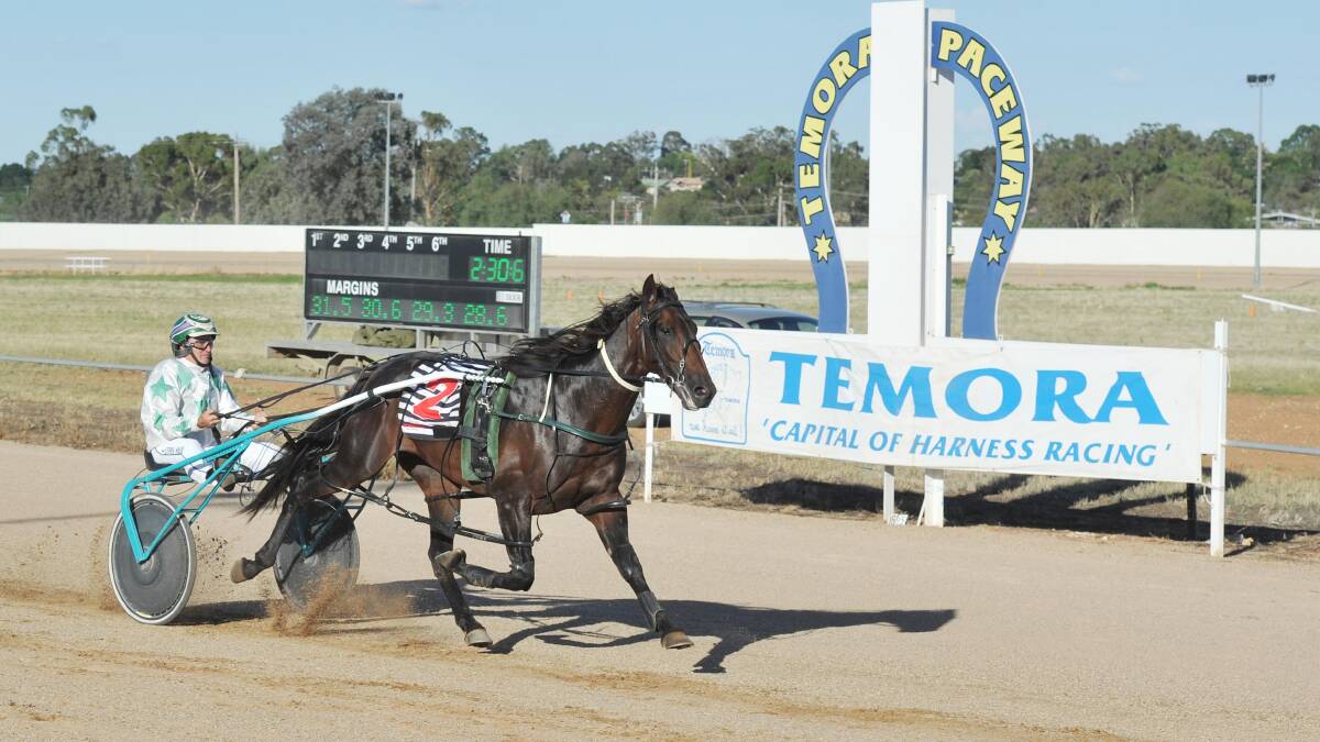 NEXT TEST: Beaten Junee Pacers Cup favourite Business In Motion will line up in the Leeton Pacers Cup before racing at Menangle.