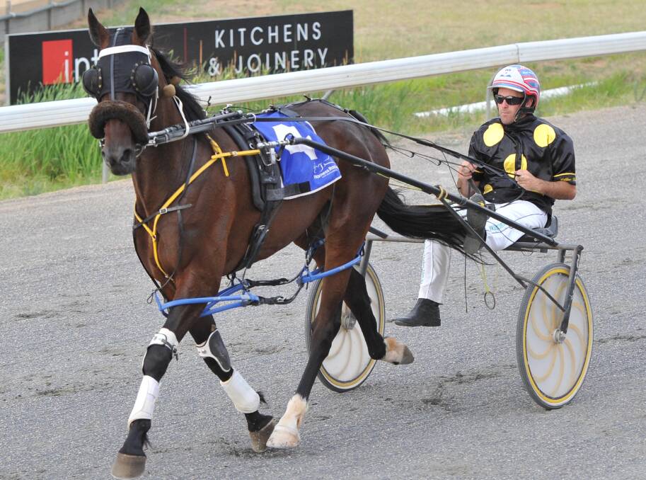 UNDER INQUIRY: Harness racing driver David Moran will face the stewards after placing a bet on a horse he was driving against at Leeton last week.