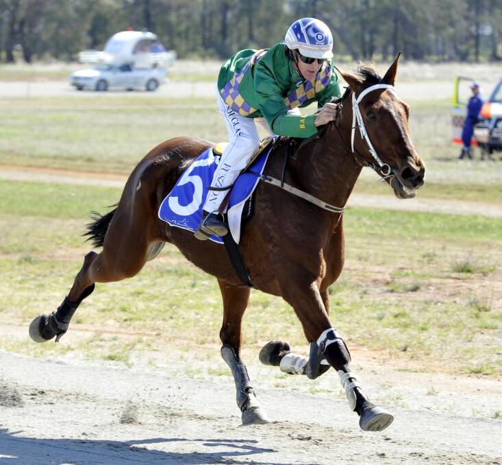 MONTE MAN: Victorian reinsman Daryl Douglas took the lead in the national monte series with his win at Coolamon on Sonofanearl.