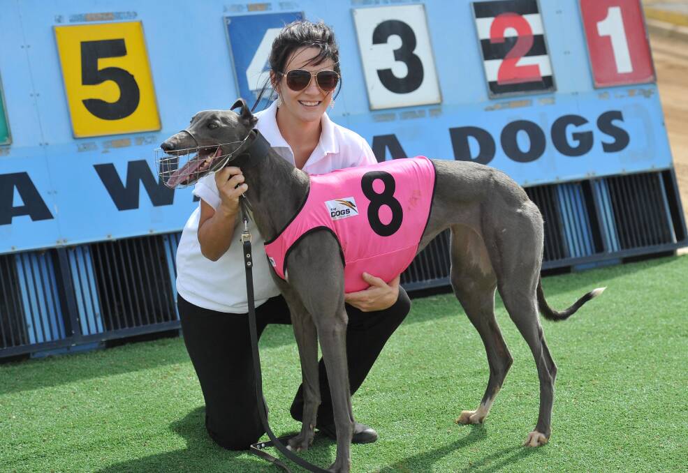 LIGHTNING LASS: Handler Chelsee Oakman congratulates Fast Chloe May on her win at Wagga over the 320 metre distance last month. The Robert Oakman trained bitch is stepping up in distance and taking on a strong field in the Bill Jolley Memorial Final on Friday.