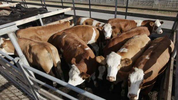 Union to abattoir: drop 457 workers