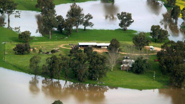 Wagga flooding from the air. Photo: Stephen Mudd