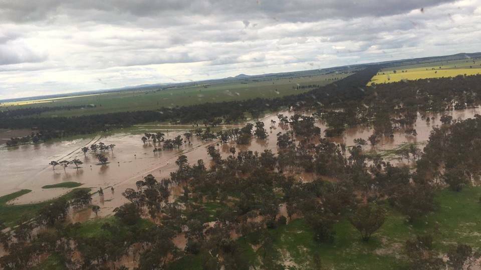 Floodwaters west of Ardlethan on Thursday. Picture: SES