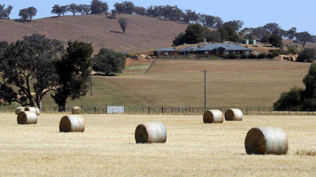 ROLLED OVER: A crop has been made into hay as a result of the year's ongoing dry conditions. Picture: Les Smith