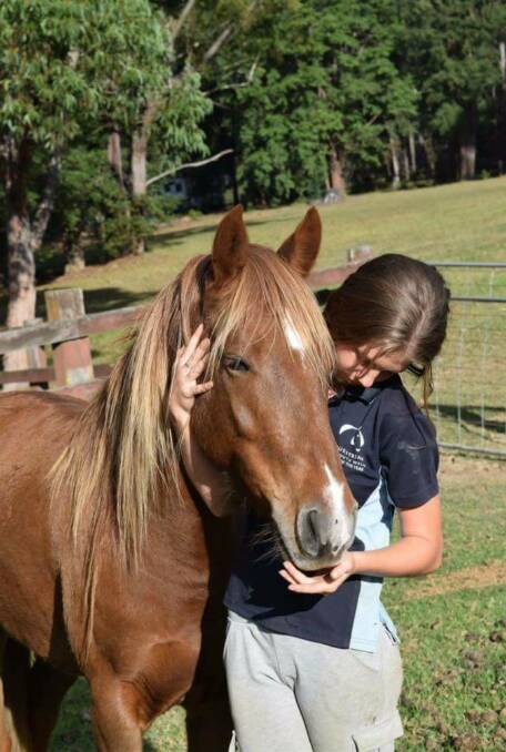 BRUMBY CULL: Rehomed brumby Mistry from the Wollemi Brumby Haven NSW, with Kate Lee's daughter Janaya, 14.