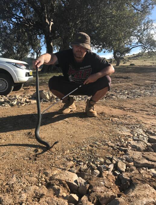 Snake handler Jake Cullen with a Red Belly Black snake. Photo: Contributed