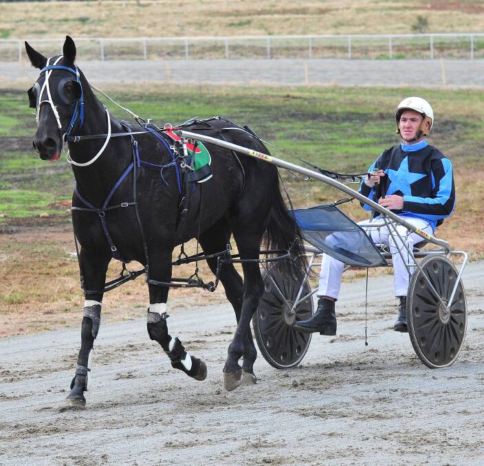 WINNING RETURN: Young horseman Jason Grimson brings back Village Witch after scoring his first ever driving win with the mare in the first race at Coolamon on Saturday. Picture: Kieren L Tilly
