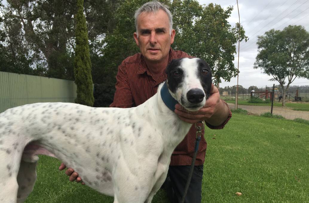 READY TO ROCK: Wagga trainer with Royal Norris ahead of his next test at the meeting at the Wagga Showground on Wednesday.