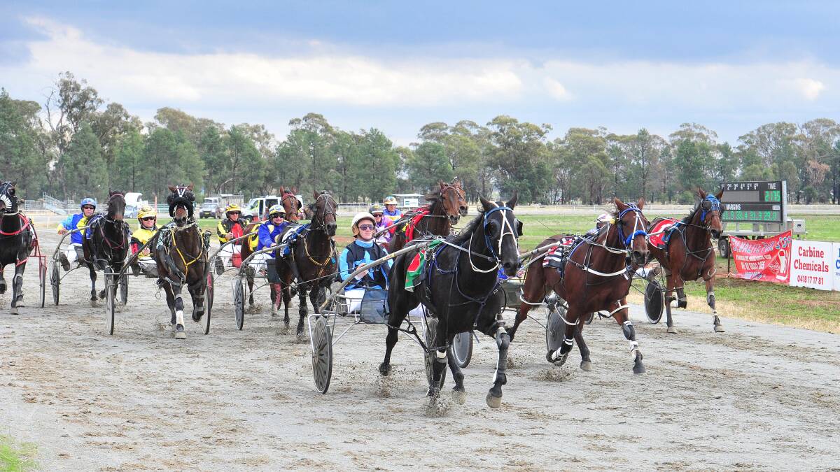 EASY DOES IT: James Grimson and Village Witch hold off their challengers to win their first race at Coolamon on Saturday.