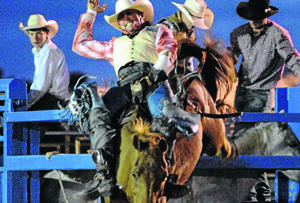 ROUGH RIDER: Wantabadgery-bred rodeo star Cody Angland competes at the Collarenebri rodeo recently. Picture: Kenyon Sports photos and Australian Professional Rodeo Association.