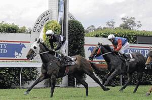 RIDING HIGH: No. 8 Awesome Feeling ridden by Richard Bensley crosses the finish line at the Gundagai Snake Gully Cup carnival in race seven at the weekend.