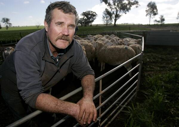 SHEEP LOSS: Coolamon farmer, Stuart Jennings said he will locking his gates and securing his stock more carefully since having 30 of his sheep stolen recently. Picture: Oscar Colman.