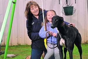 FUN TIMES: Wagga trainer Susan Burgess and granddaughter Chloe Gallagher, 4, at home with their favourite greyhound Hi Mate yesterday. Picture: Oscar Colman